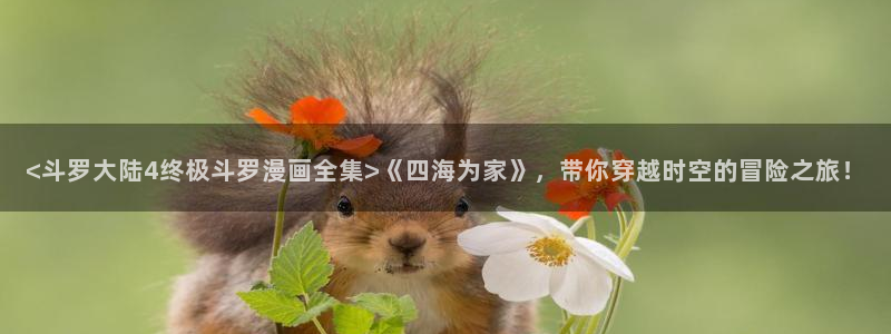 www.汗汗漫画：<斗罗大陆4终极斗罗漫画全集>《四海为家》，带你穿越时空的冒险之旅！