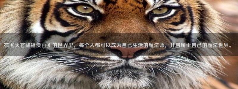 汗汗漫画樱花：在《天官赐福漫画》的世界里，每个人都可以成为自己生活的魔法师，开启属于自己的魔法世界。