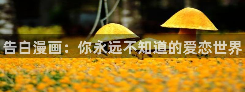 汗汗漫画――歪歪漫画3d：告白漫画：你永远不知道的爱恋世界