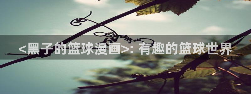 yy汗汗漫画：<黑子的篮球漫画>: 有趣的篮球世界