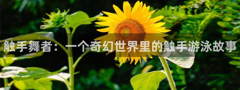 汗汗漫画网页版：触手舞者：一个奇幻世界里的触手游泳故事
